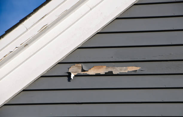 Best Property Management Cleanouts  in Shaw, MS